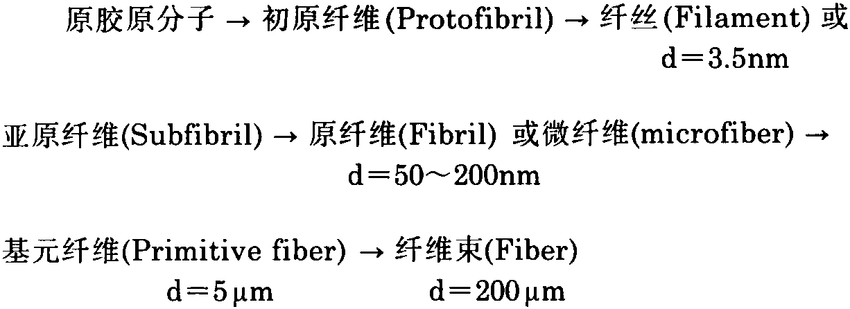 六、胶原